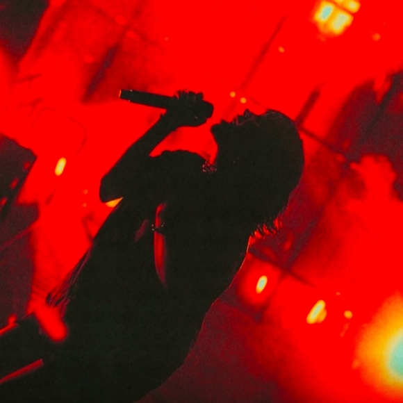 Meet your Posher, Luno - Picture 11 of 16